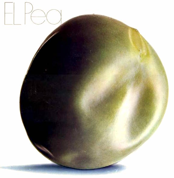 el-pea-island-sampler-1971